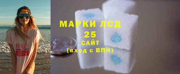 шишки Баксан