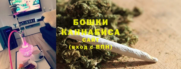 шишки Баксан