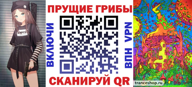 закладки Вяземский Псилоцибиновые грибы GOLDEN TEACHER