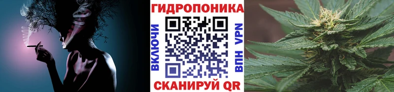 цена Вяземский omg как войти Каннабис AK-47